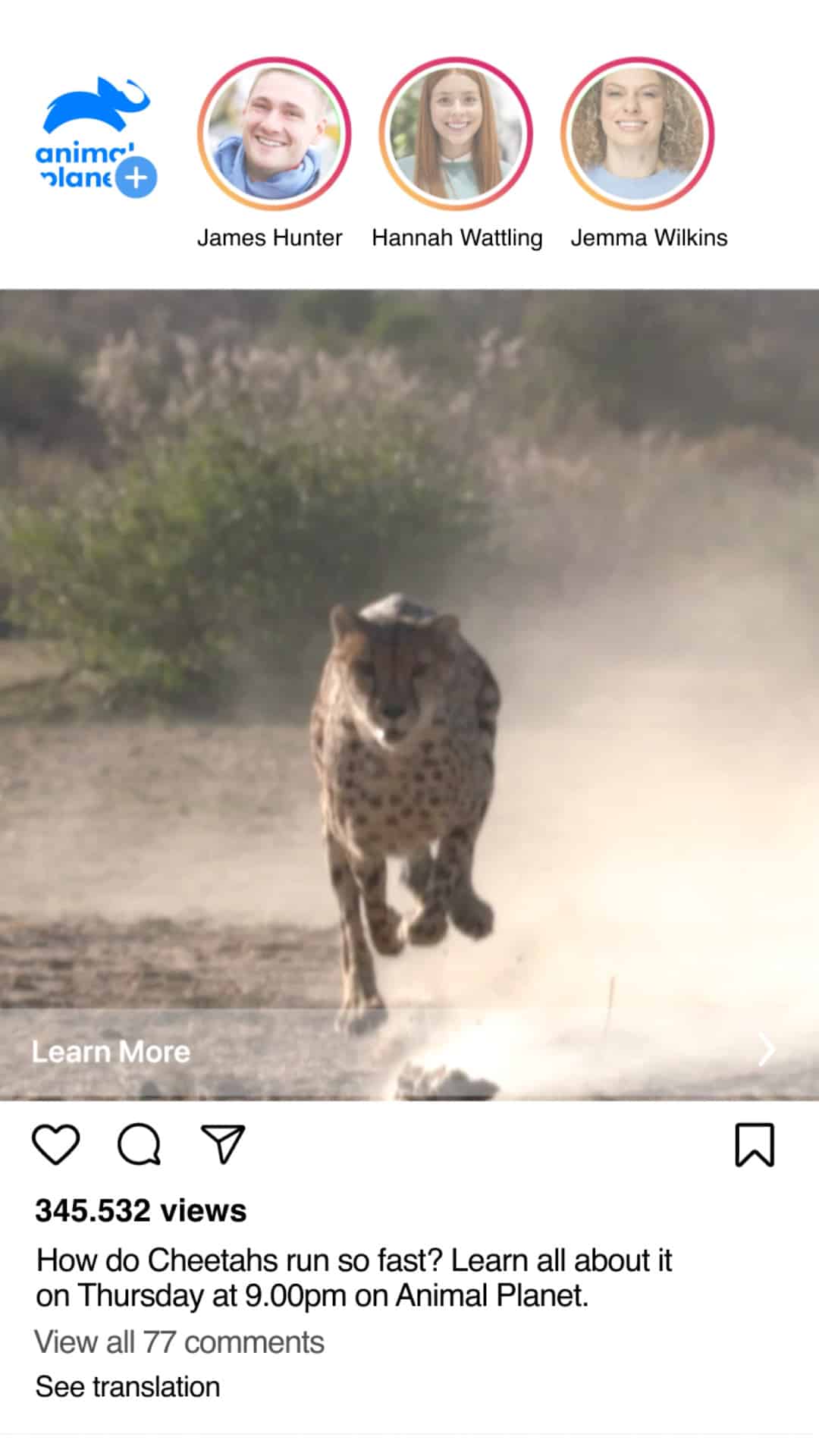 Upright poster frame: how do cheetahs run so fast?