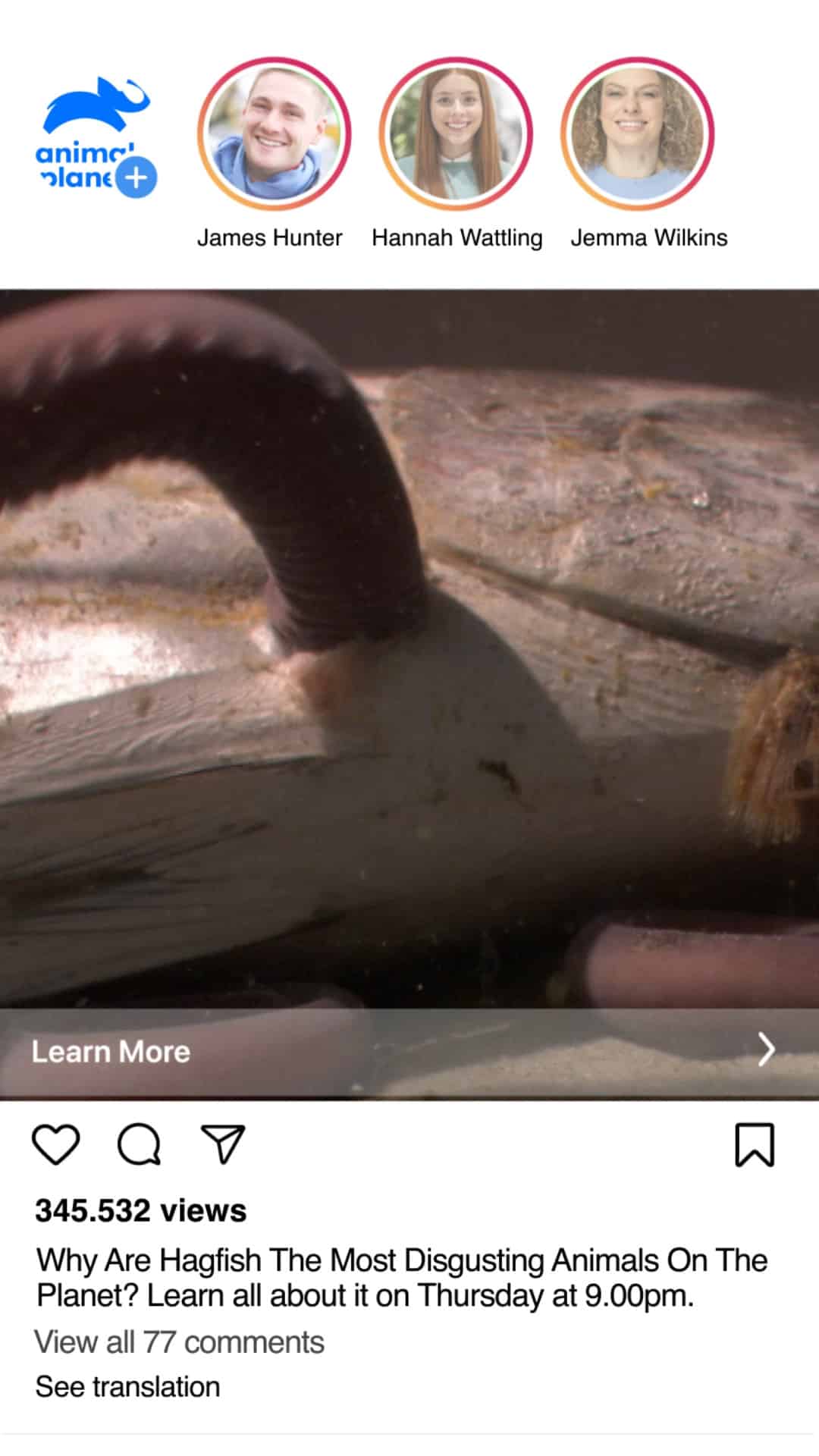 Upright poster frame: why are hagfish the most disgusting animals on the planet?