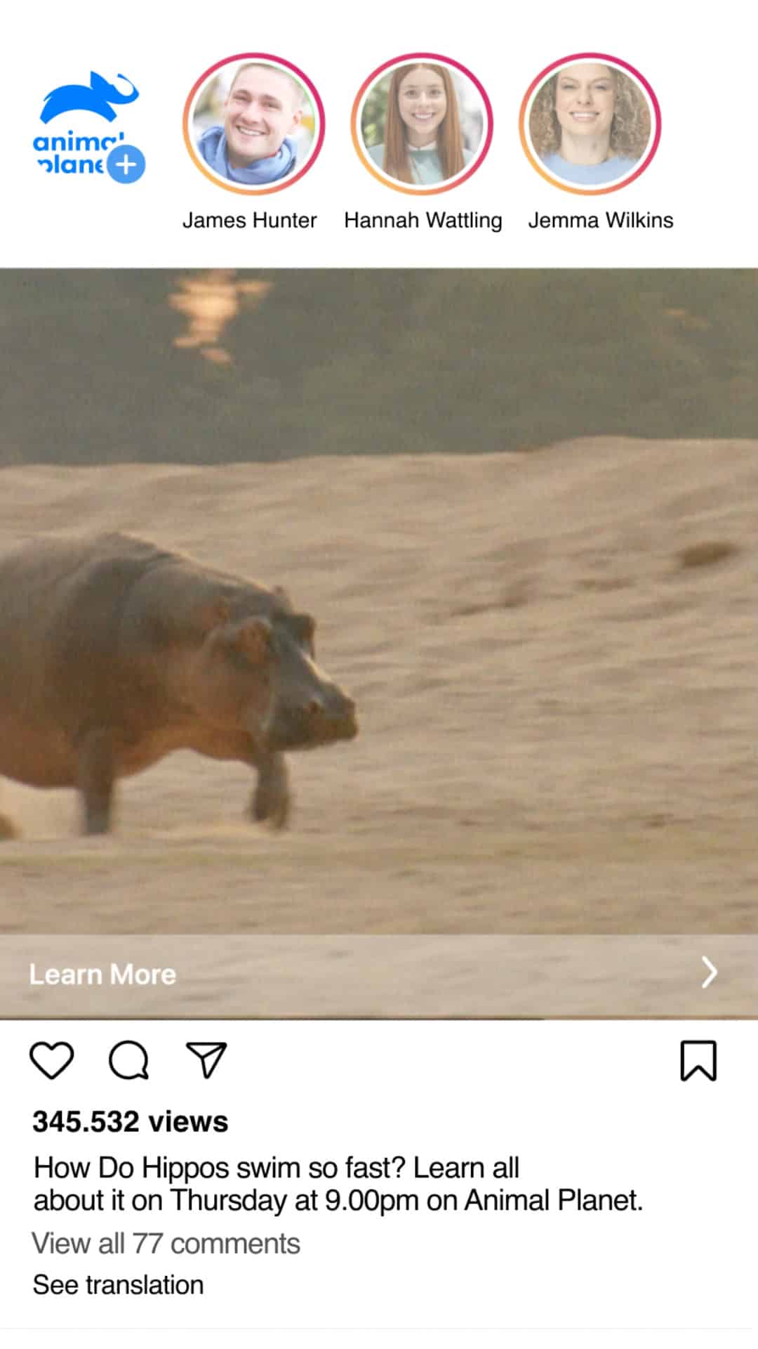 Upright poster frame: how do hippos swim so fast?