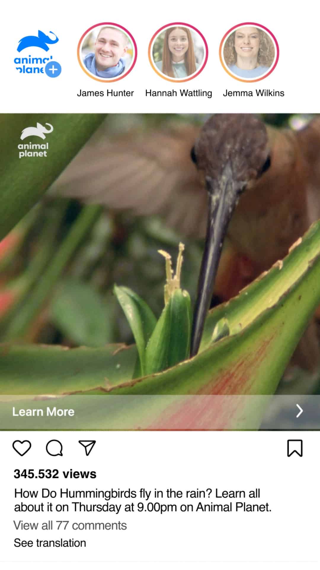 Upright poster frame: how do hummingbirds fly in the rain?