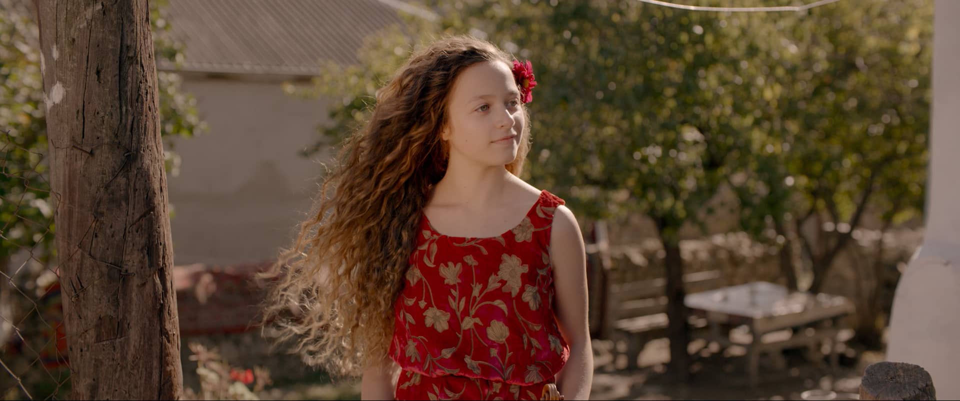 Still 1 from the short film Leila’s Violin