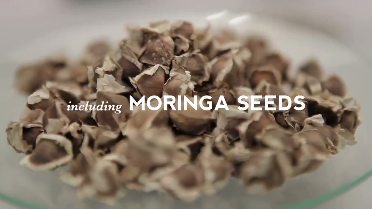 Play the Marks & Spencer showcase: a bowl of moringa seeds under the words “including moringa seeds”