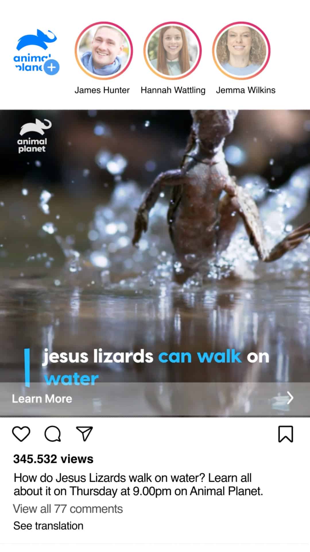 Poster frame from How Do Jesus Lizards walk on water?