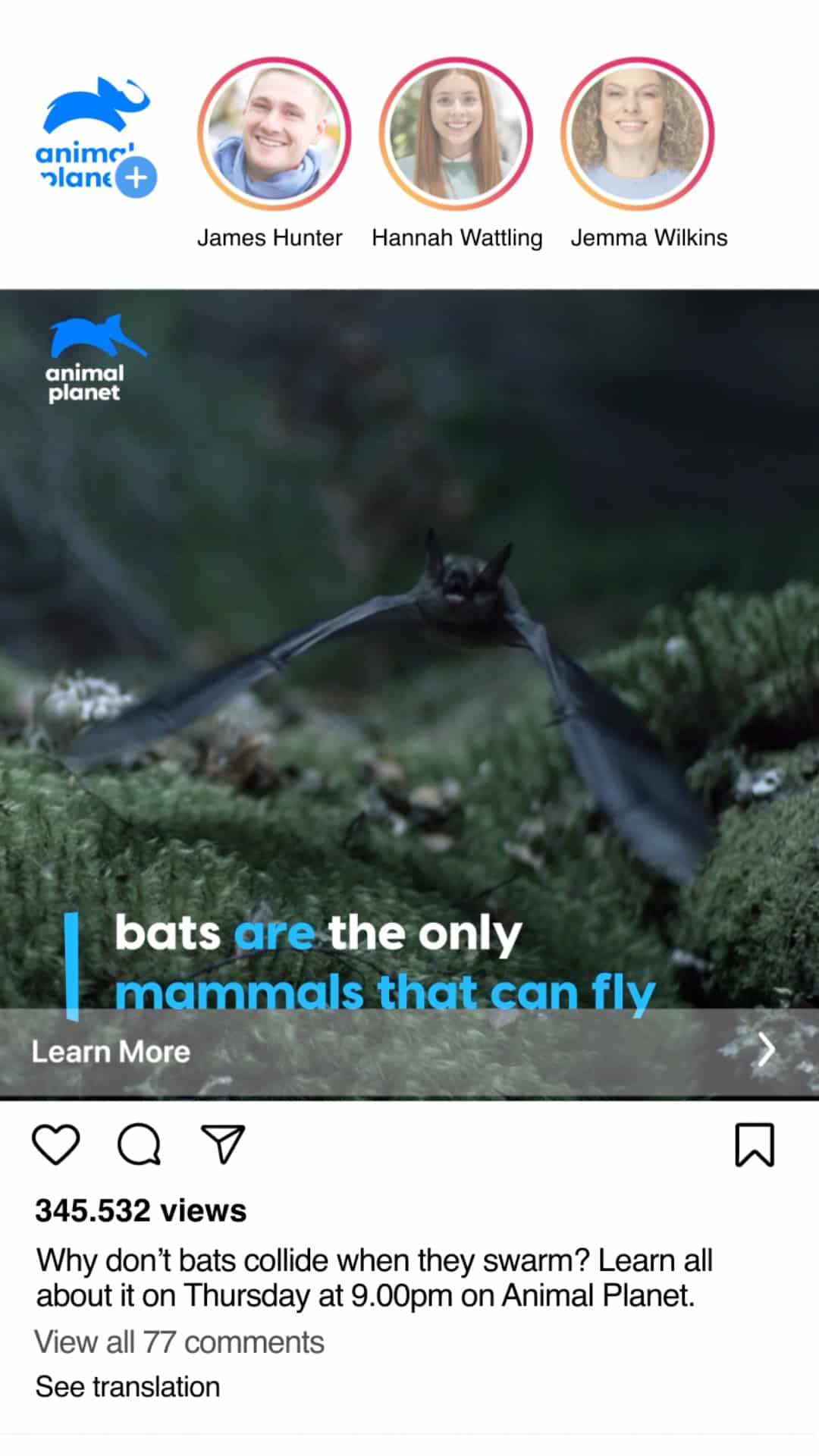 Poster frame from Why don’t Bats collide when they swarm