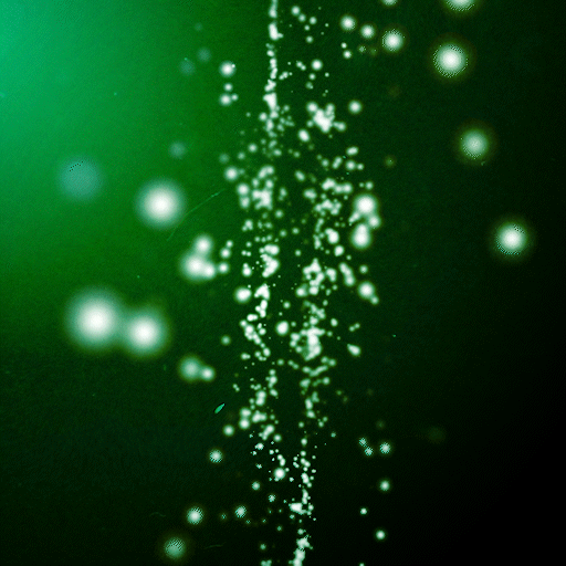 UNDERWATER PARTICLES