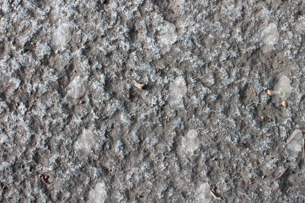 Concrete Textures